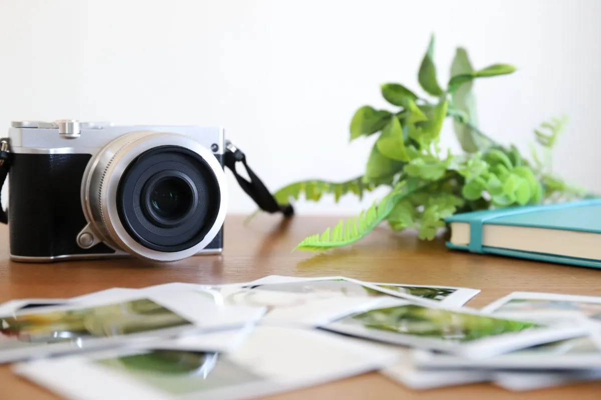 フォトスタジオで年賀状撮影をする際に家族写真が映えるコツと選び方！